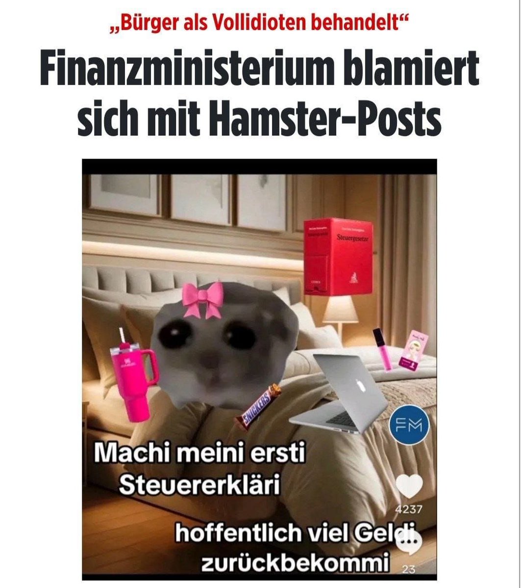 爪卂ㄒ丂ㄩ卄丨爪乇 Kirschblüten-Prinzessin tweet media