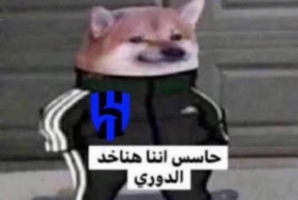 AYMAN tweet media
