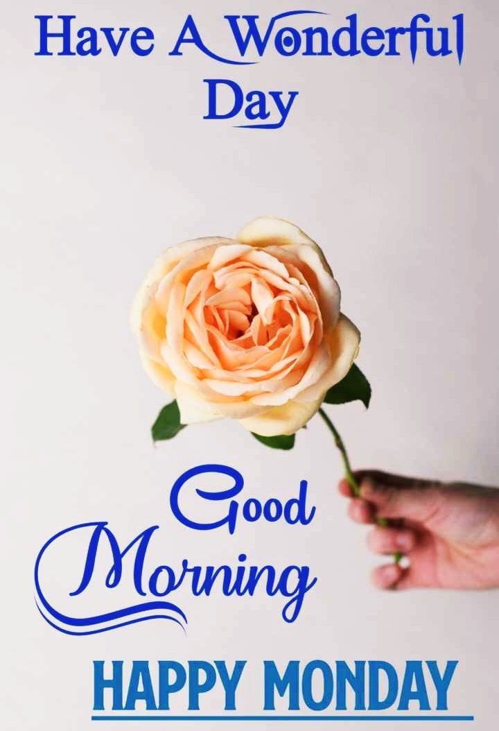 Abdul Razzaq tweet media