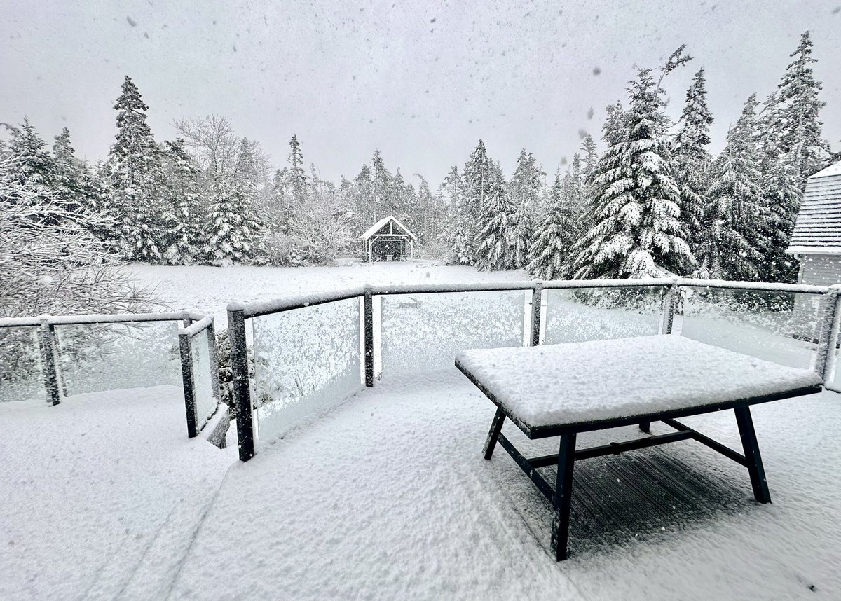 TinaComeaunews's tweet image. Yesterday it was bright, sunny and warm. I was thinking that I should soon bring my patio furniture out on the back deck. Today, May 3 in Yarmouth, Nova Scotia, I don’t have these same thoughts. Snow, wind and thunder! Spring is so confusing. 🤷🏻‍♀️🤦🏻‍♀️