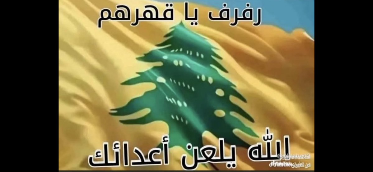 walid edris tweet media