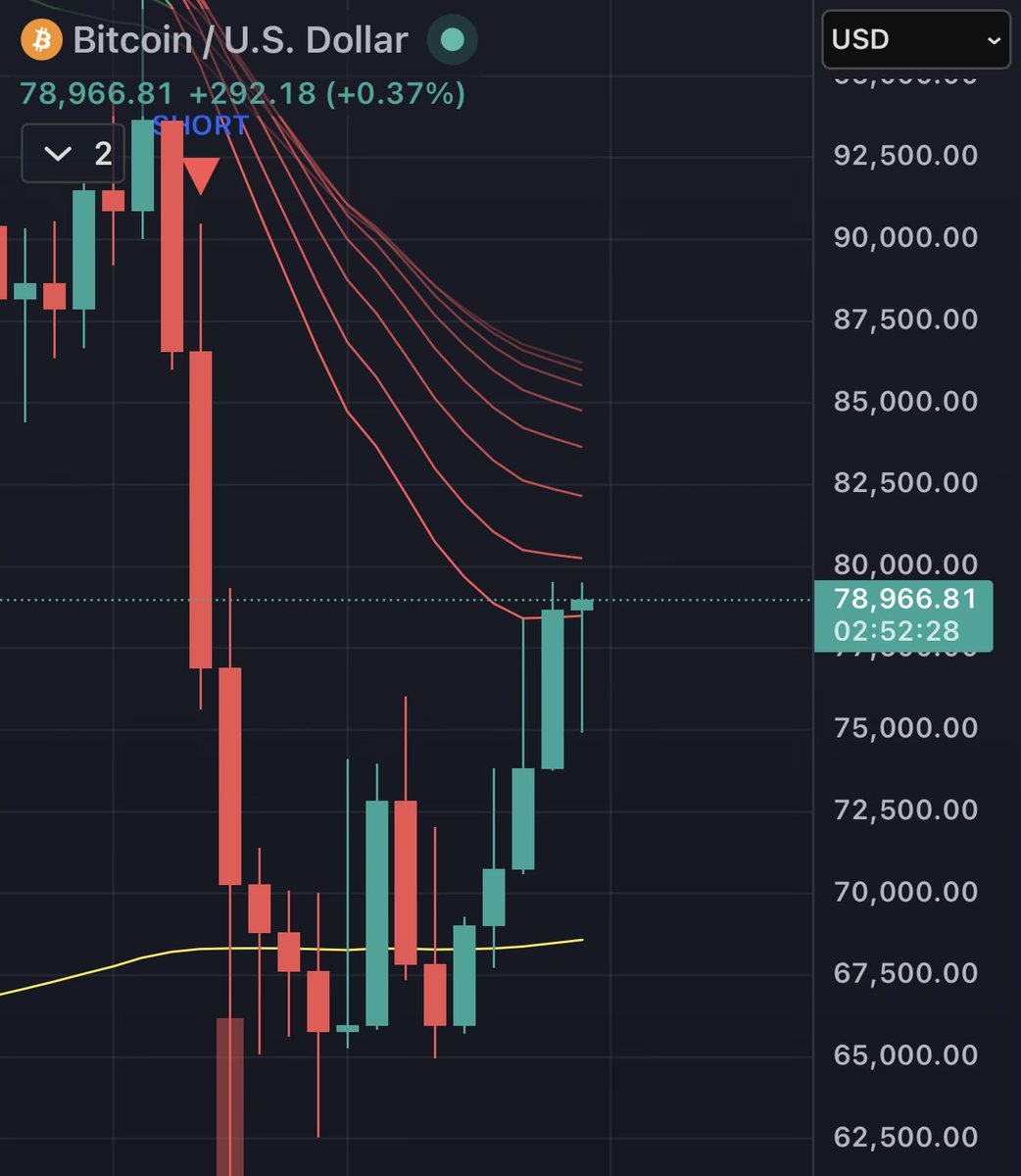 ₿itcoin Rachy ⚡️ tweet media