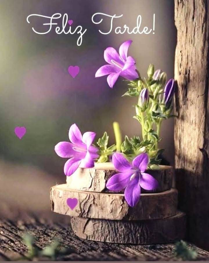 😉Hoy es un día perfecto para disfrutar de esas pequeñas cosas de la vida que nos dan tanta felicidad. ☕🌞😊
¡Feliz tarde de domingo!!
.
#FelizDomingoParaTodos