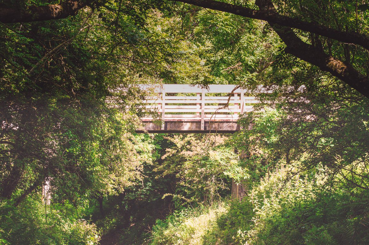 LakesFurniture's tweet image. Lake District Greetings Card | Forest Path | Birthday Card | Easter | Christmas | Postcard | Drone Photography Cumbria tuppu.net/a9b0149a #birthday #handmadefurniture #lakedistrict #rusticfurniture #greetingscard #chocolate #shelving #BirthdayCard