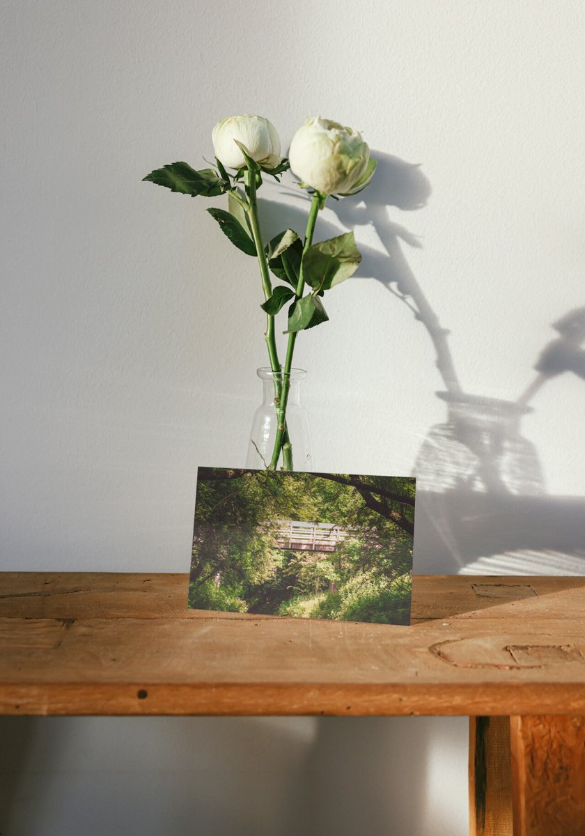 LakesFurniture's tweet image. Lake District Greetings Card | Forest Path | Birthday Card | Easter | Christmas | Postcard | Drone Photography Cumbria tuppu.net/a9b0149a #birthday #handmadefurniture #lakedistrict #rusticfurniture #greetingscard #chocolate #shelving #BirthdayCard