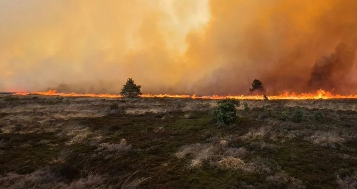 Brand op de Veluwe met betrokkenheid van politie