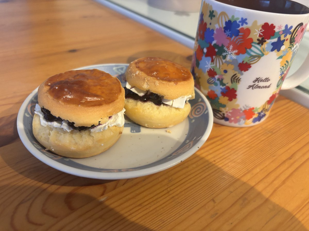 おはようございます🌞
成城石井のハニーイングリッシュスコーンに
Kiriのクリームチーズ半分と
アオハタのブルベリージャム🫐
挟みました🌟
うみゃー😻