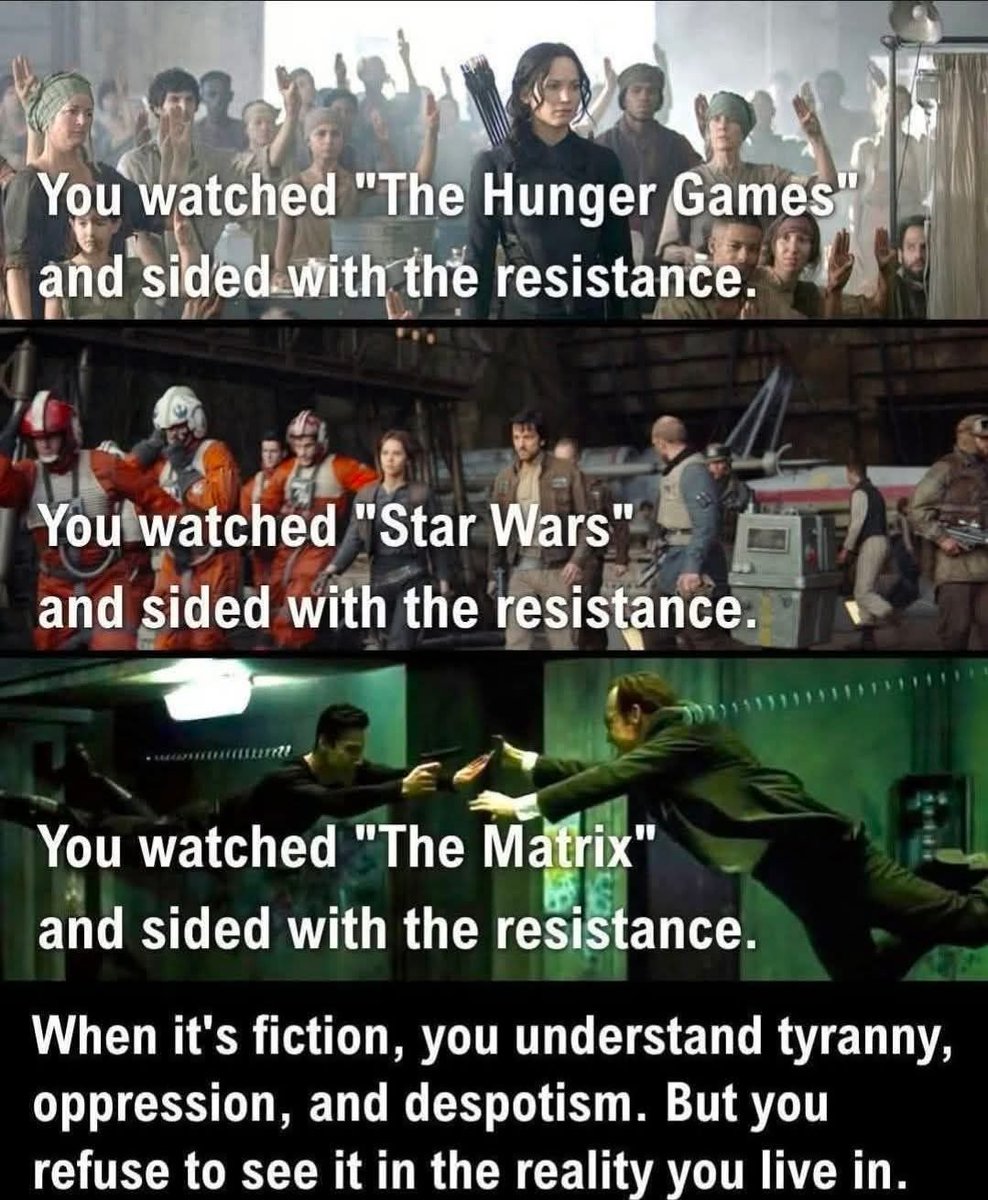 Declaration of Memes tweet media