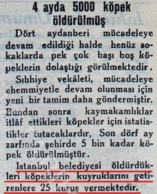 Kuşçubaşı Zenci Musa tweet media