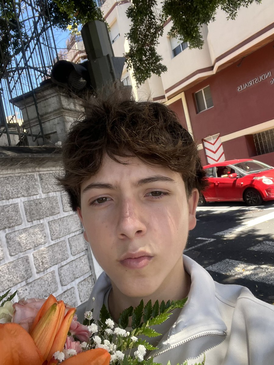 𝐚𝐧𝐝𝐫𝐞𝐬 ꕤ tweet media