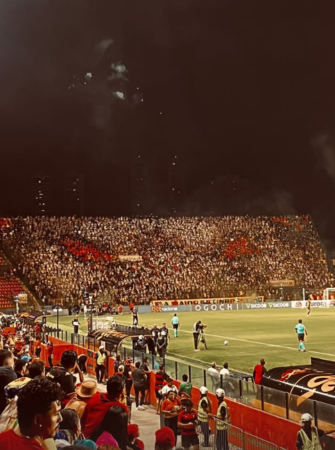 Simplesmente o mosaico da Jovem é o rosto do Leão da Jovem olhando pra torcida dos caras...

FODA!