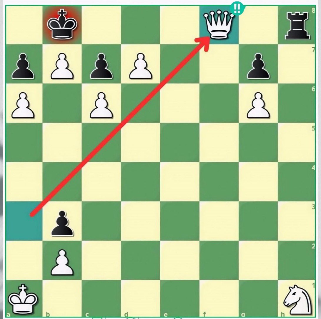 Chess Master tweet media