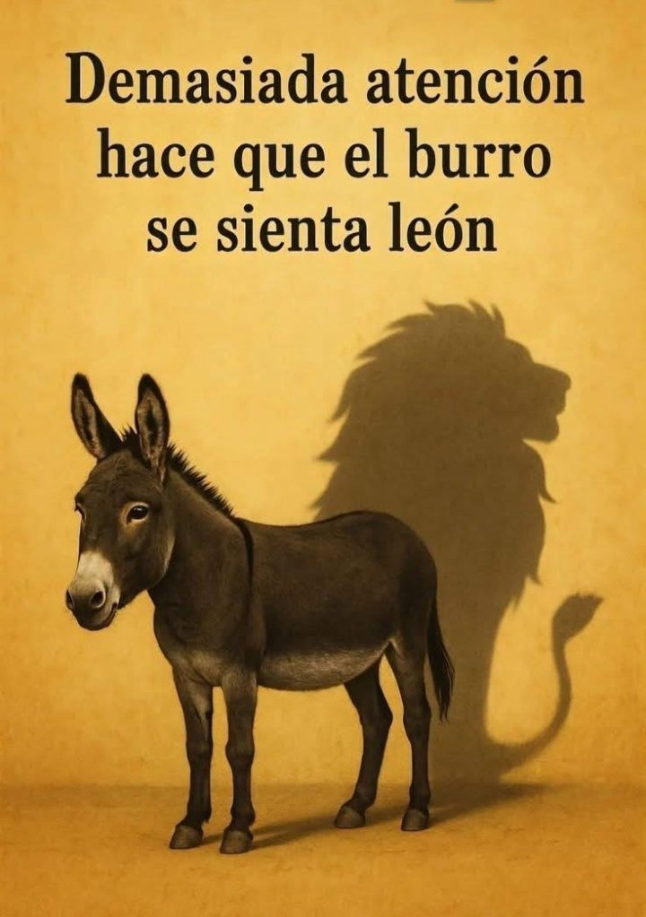 Jose tweet media