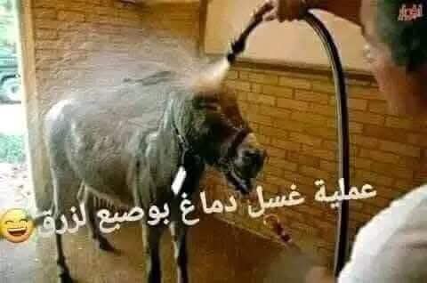 Hakim Ben tweet media