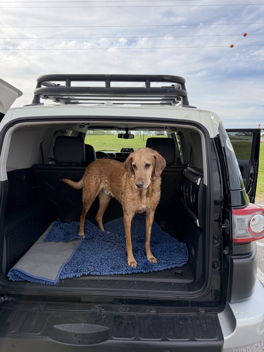 dtooker's tweet photo. Today marked a notable achievement for Axel, who officially swam in his 10th state. https://t.co/oYuLyzVwYl