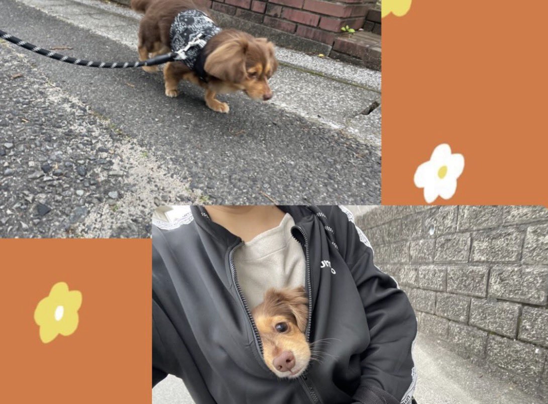 ゆこ🫧 tweet media
