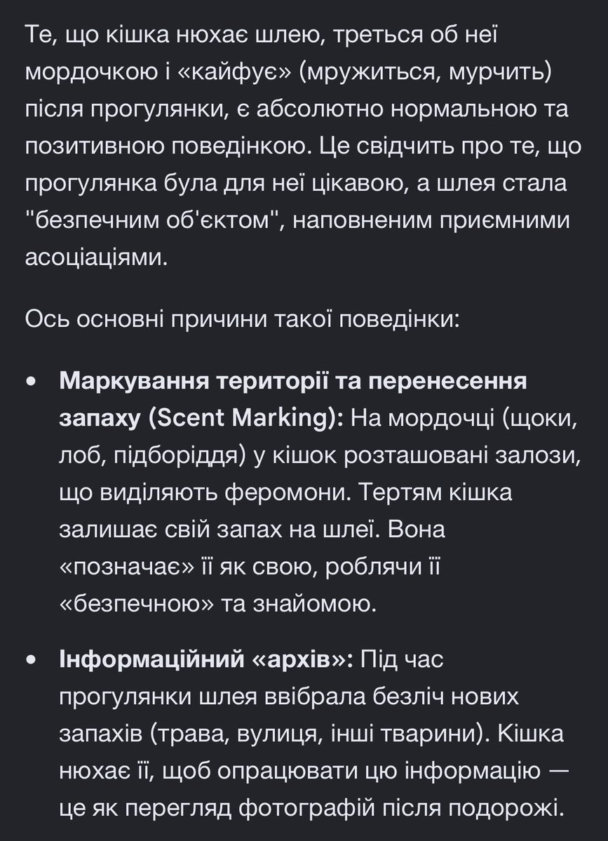 Леді Апельсин 🗝️ tweet media