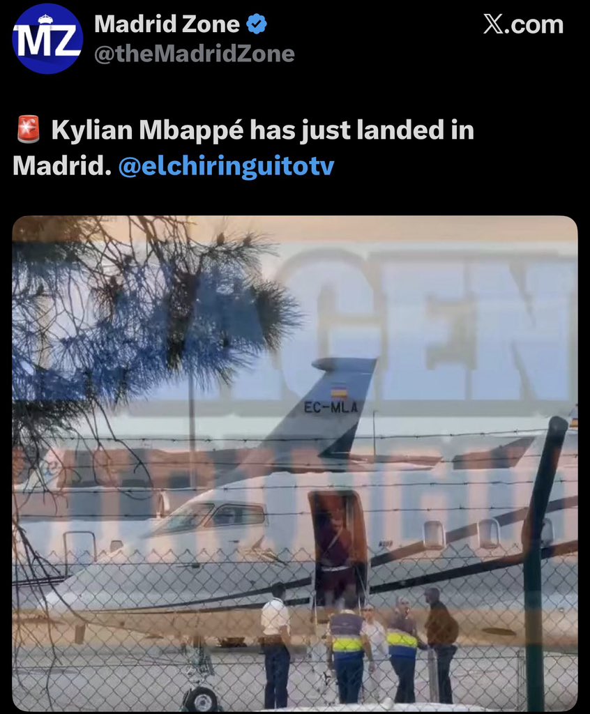 ryan tweet media