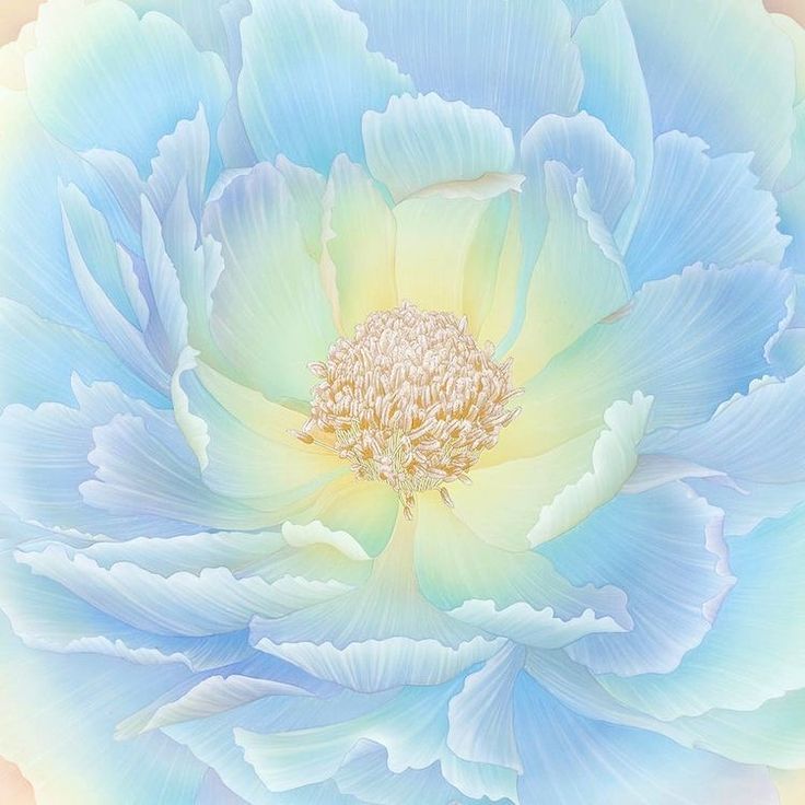 sirena, ॐ tweet media