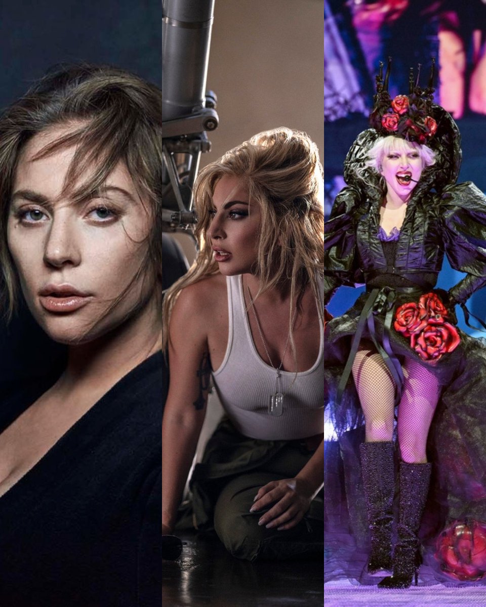 Gaga Notify tweet media