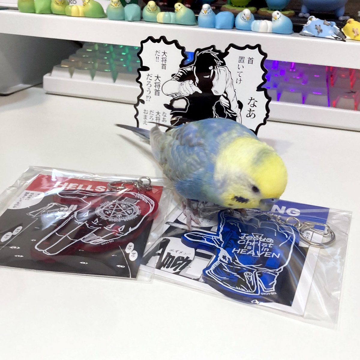 ﾄﾘﾁｬﾝｶﾜｲｲﾈｰ!! tweet media