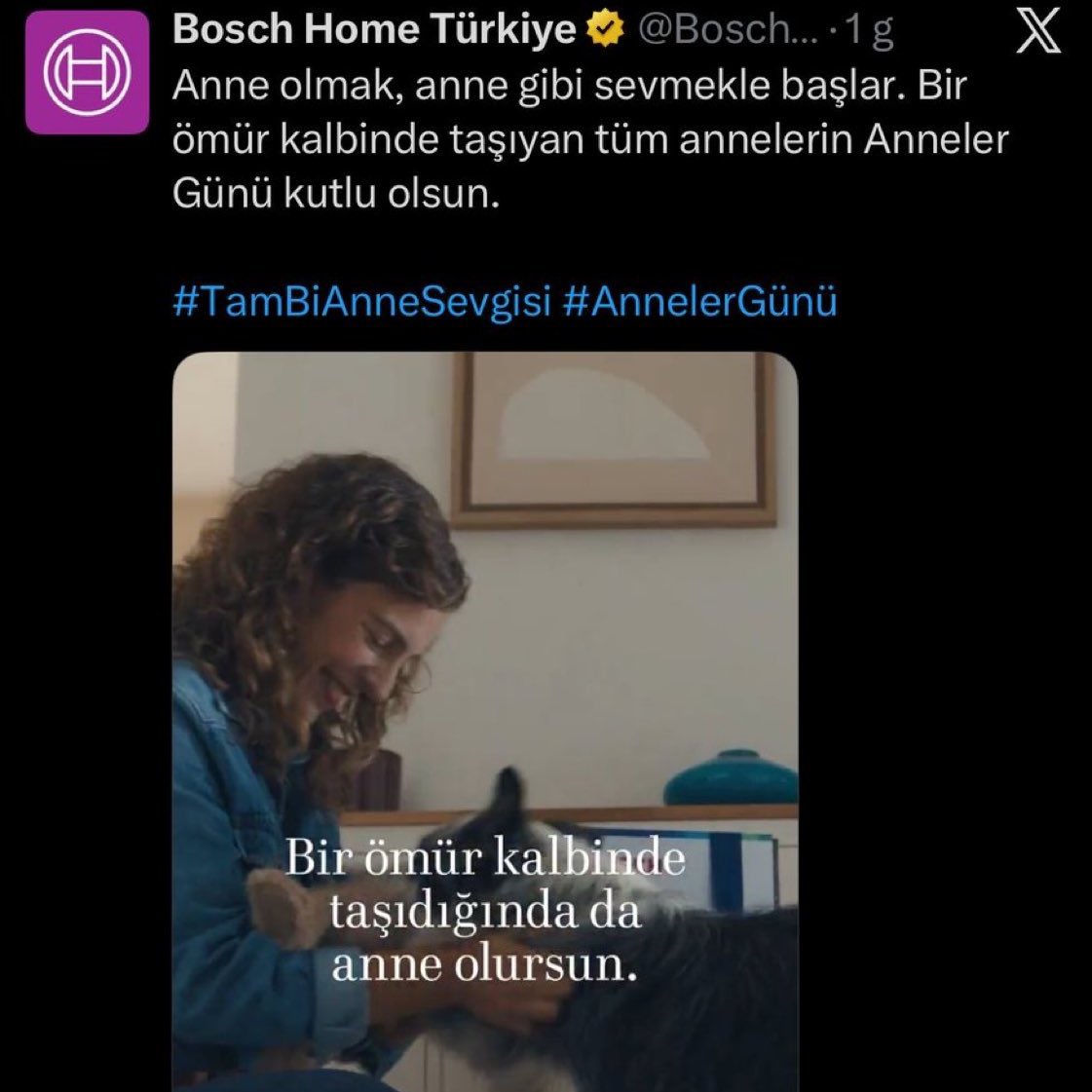 Asayiş Berkemal tweet media