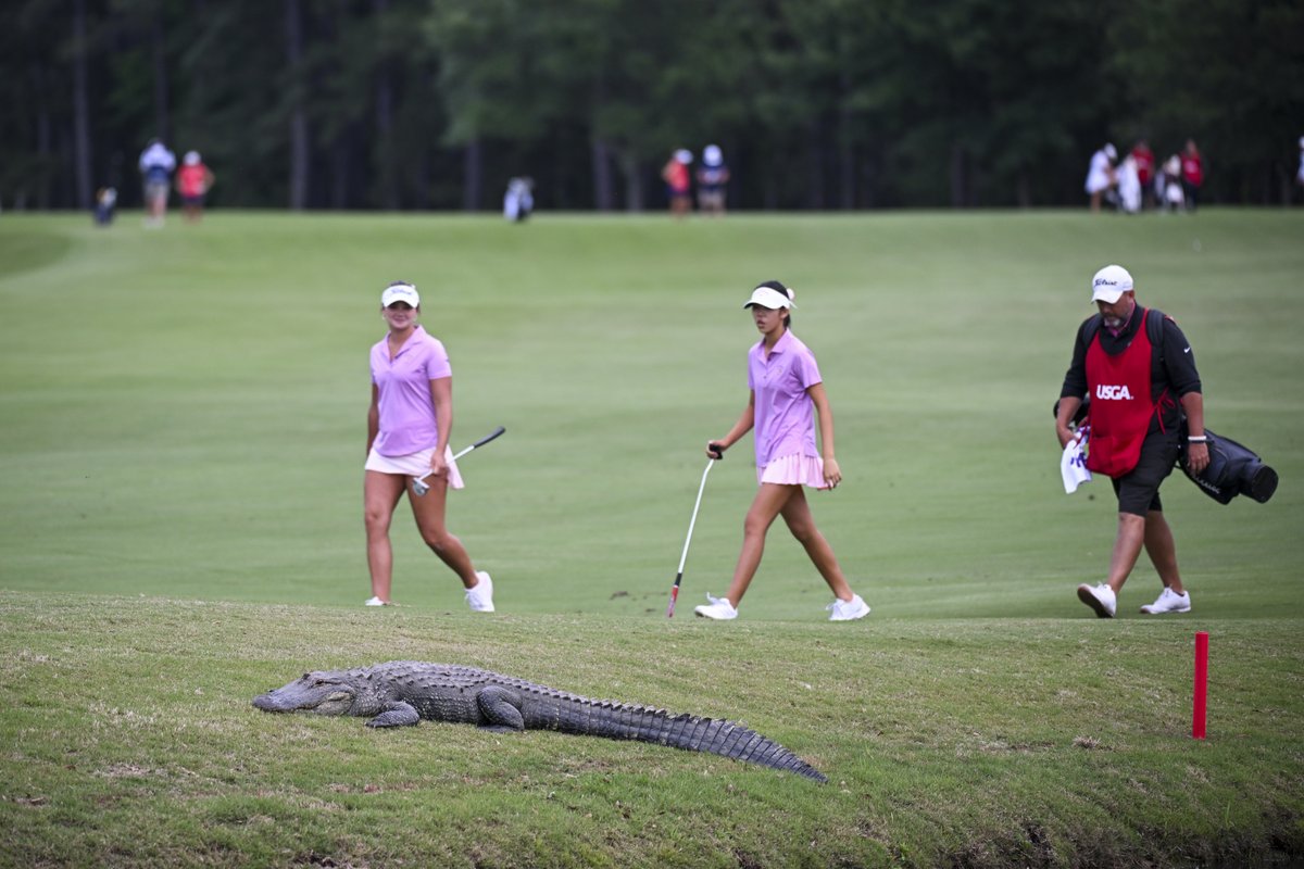 USGA tweet media