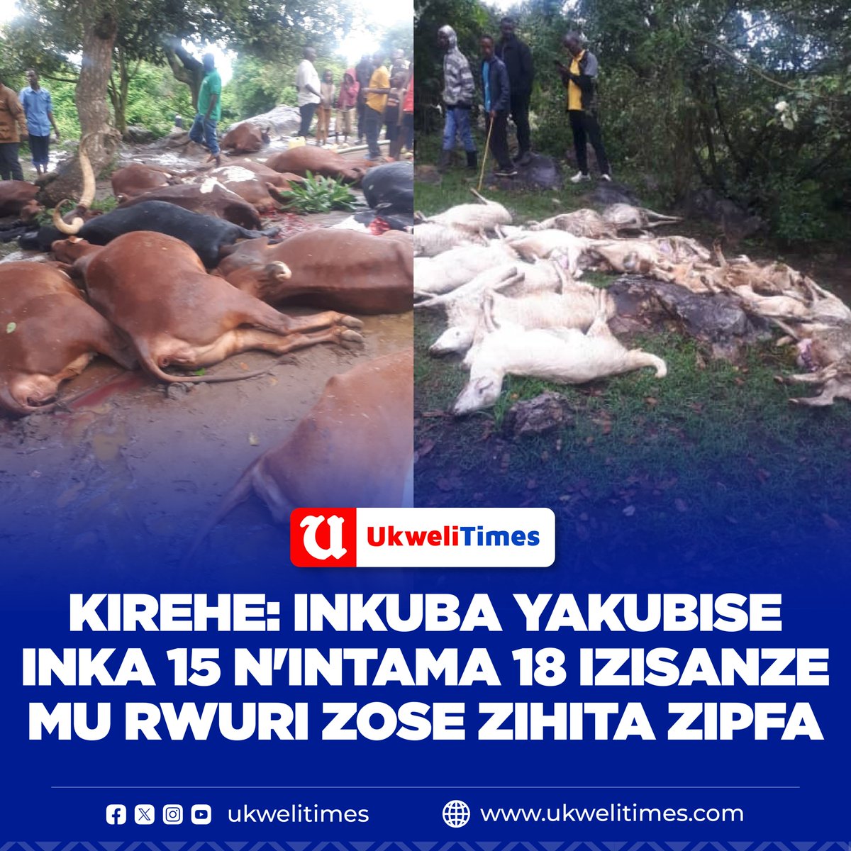 UKWELITIMES tweet media