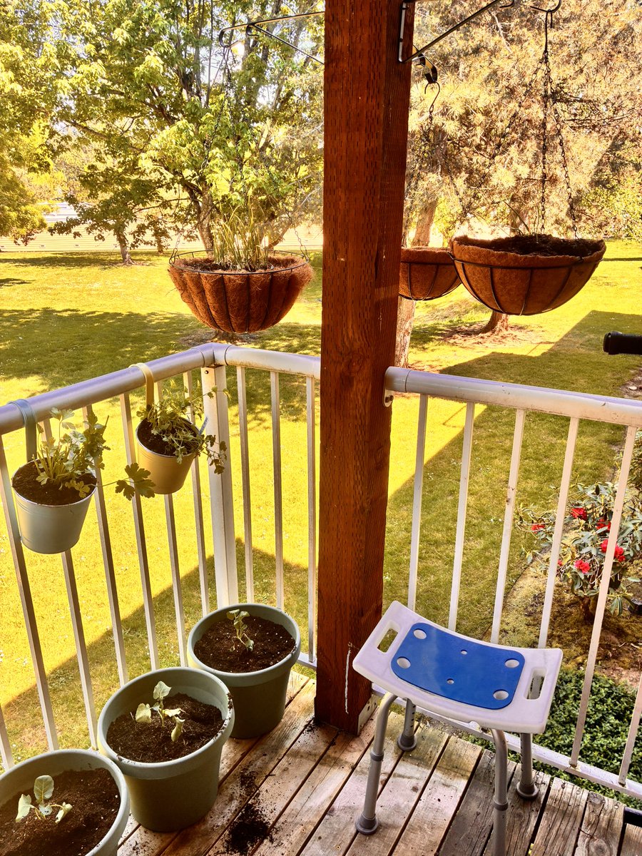 HeisherHome's tweet photo. Finally got my patio garden up and running!! Can’t wait til the tomatoes and green beans start growing, they will wrap around the ladder 🤩 https://t.co/qMhrhJCuZv