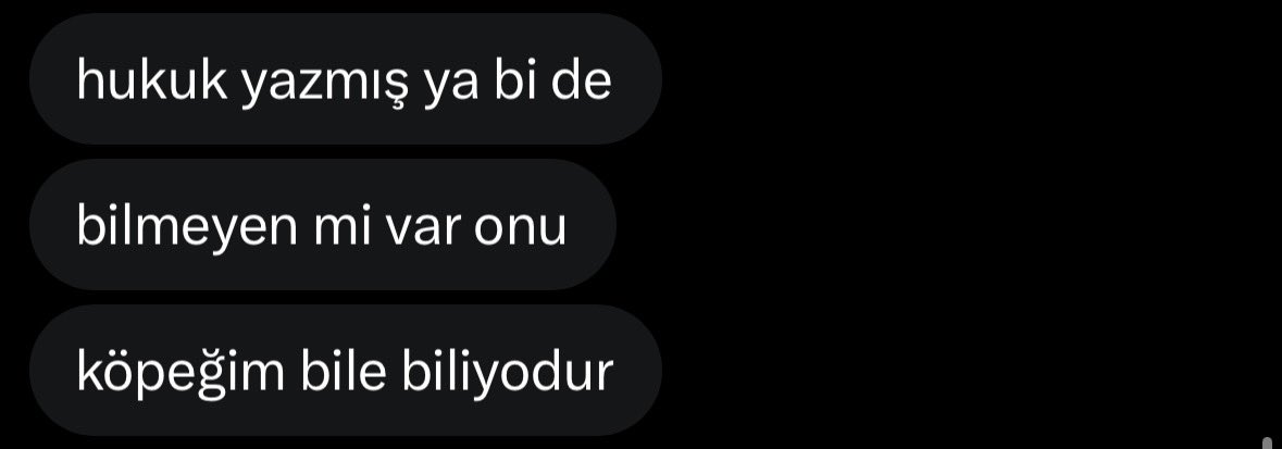 eyl 𖦹 tweet media