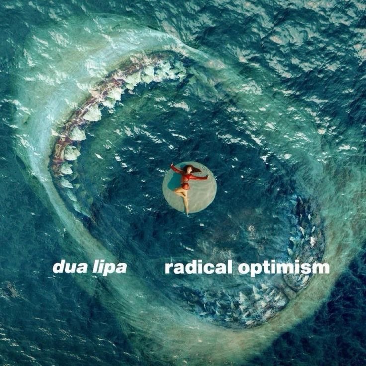 sam 🌊 tweet media