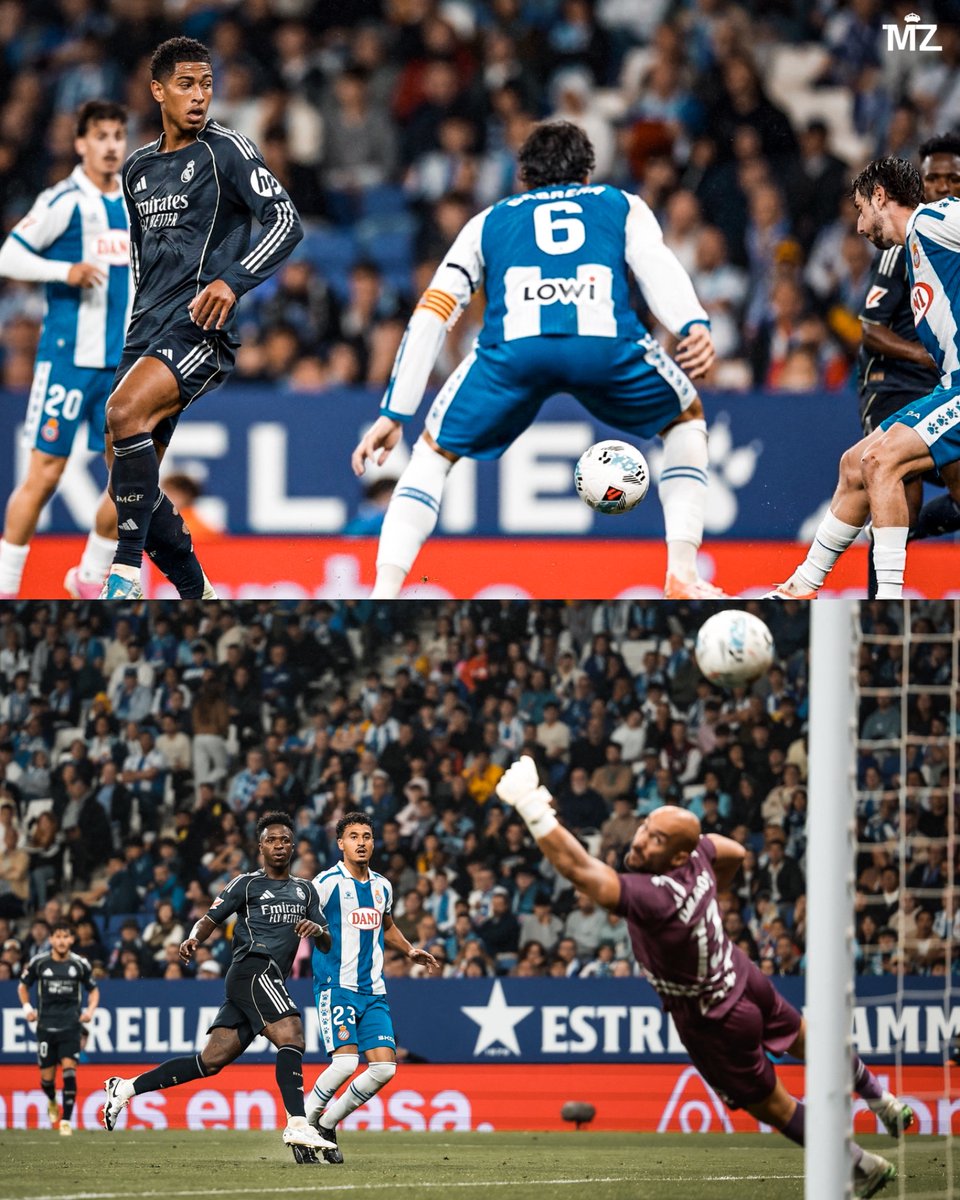 Madrid Zone tweet media