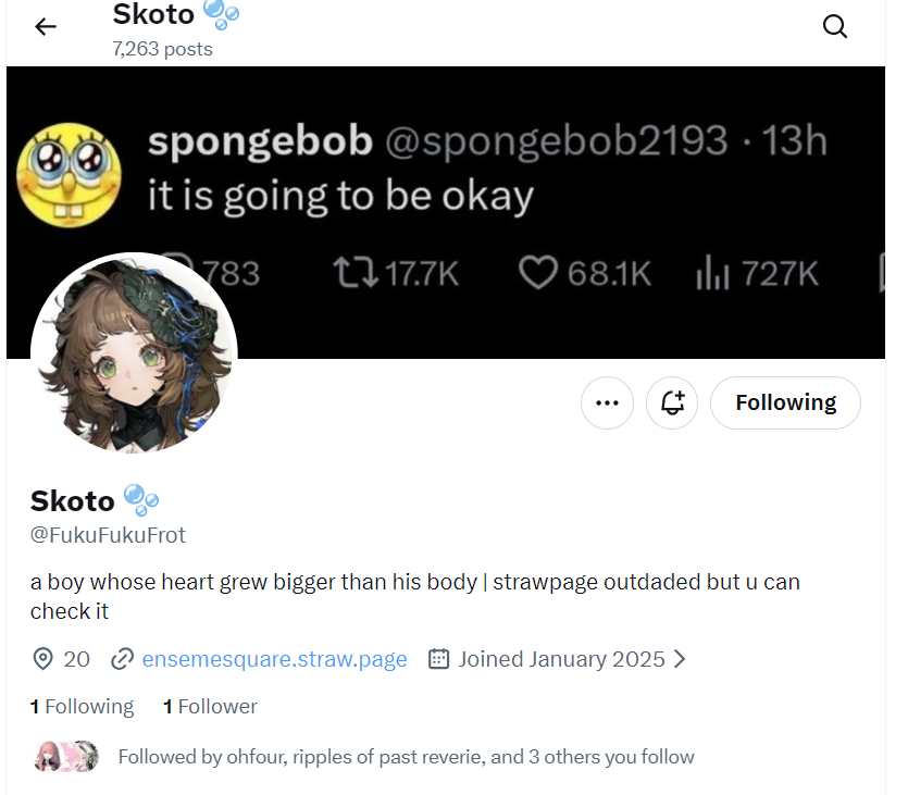 s†phia ⵣ tweet media
