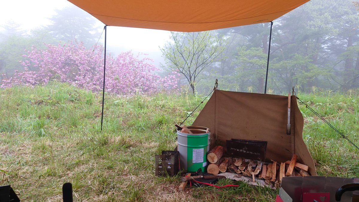 ブシドーＰ tweet media