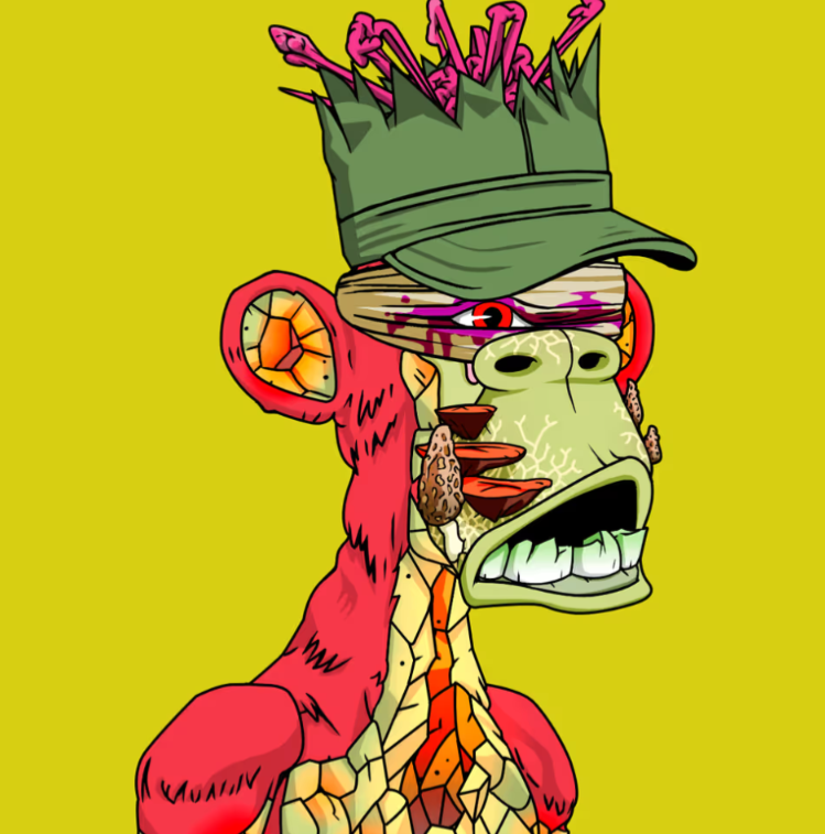 Kno//an tweet media
