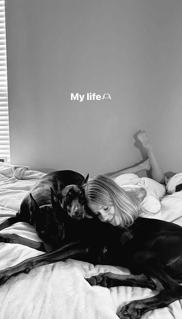Dog Queen tweet media