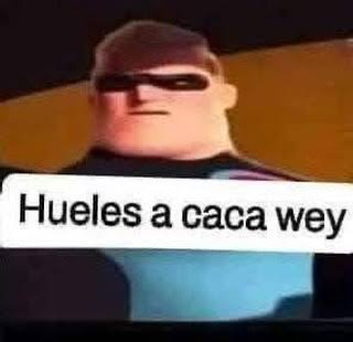 Alefttinus tweet media