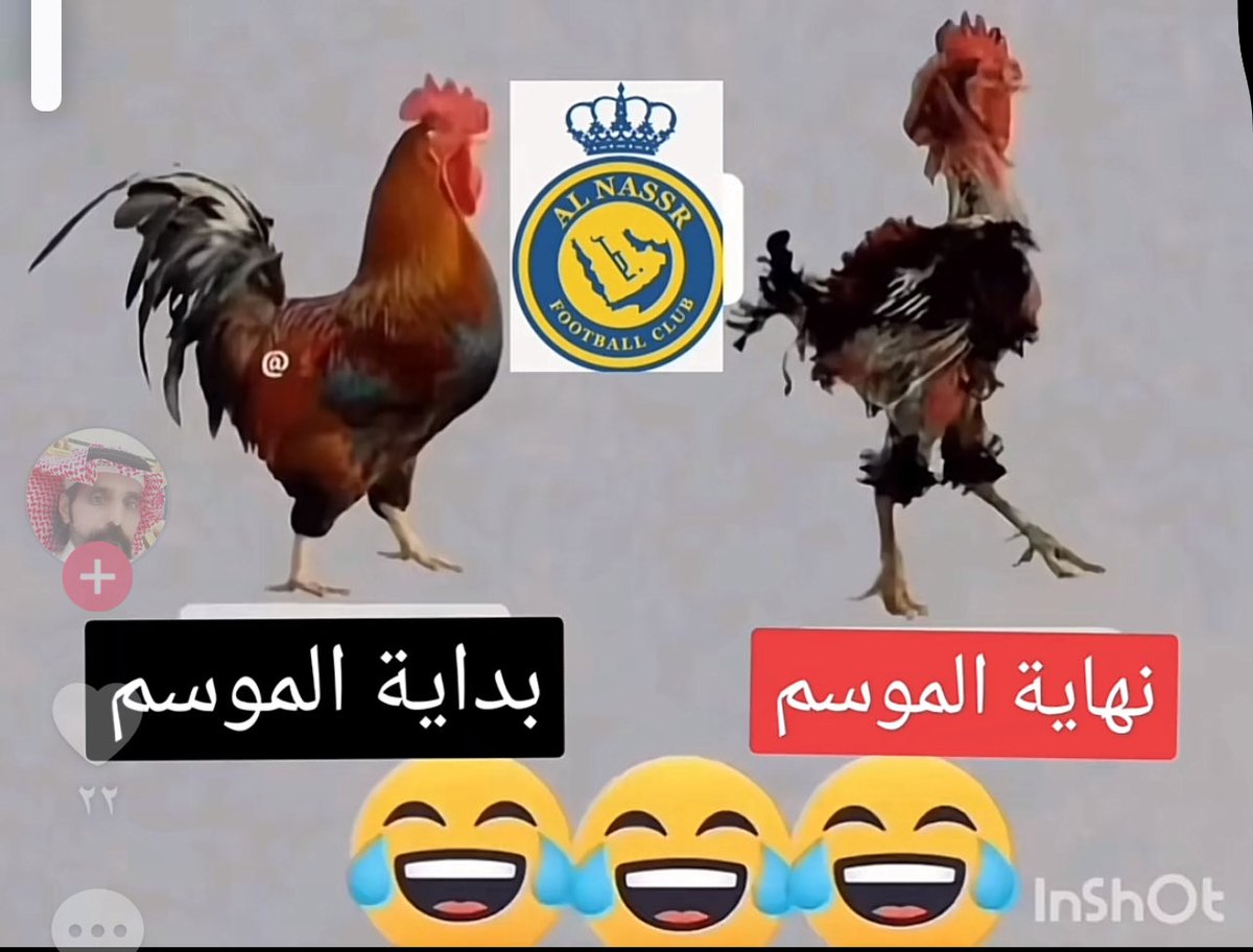 العبدلي/جازان/المملكة العربية السعودية tweet media