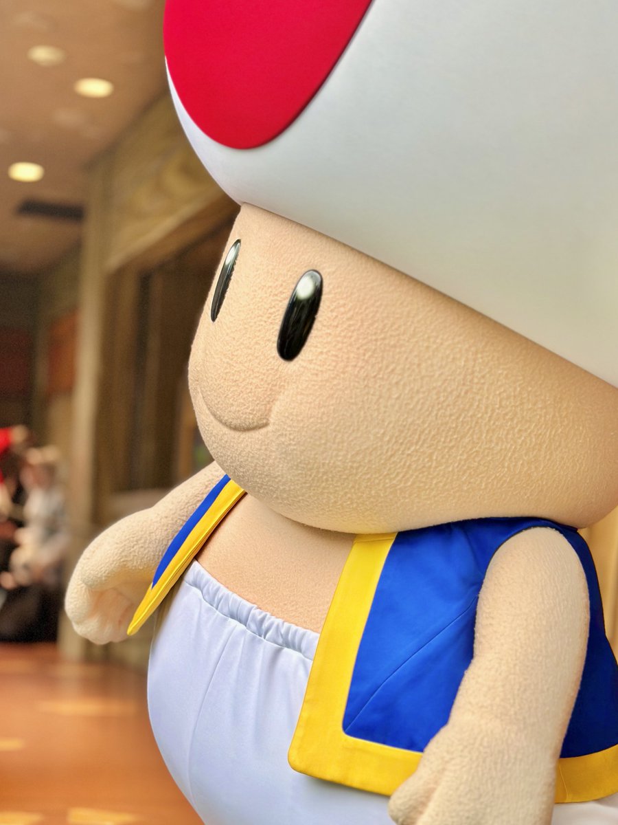 キノピ男 tweet media