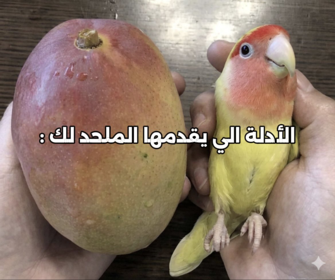 عبدالله الشهري 🇸🇦 tweet media