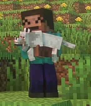 ender tweet media