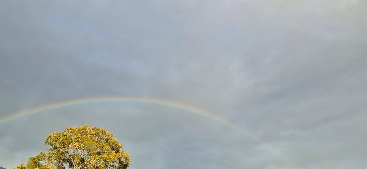 mextrexy's tweet image. 🌈
#caosvima
#rainbow