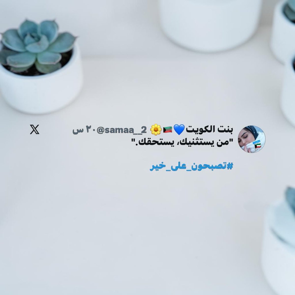🐆 فْهـددد 🐆 tweet media