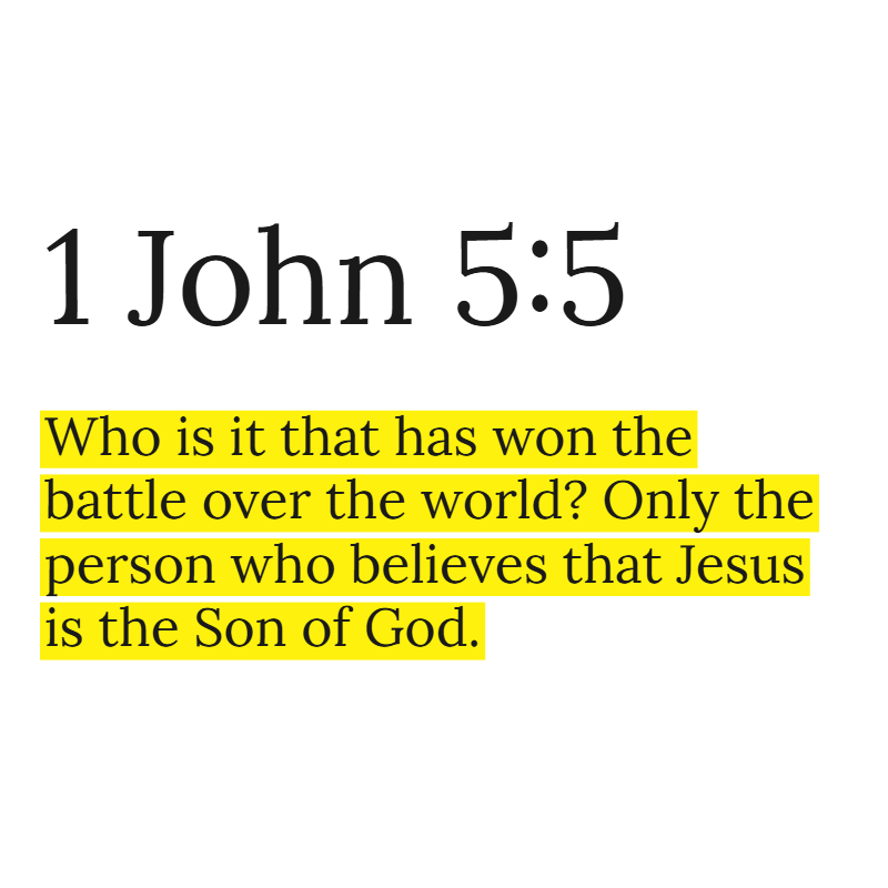 Holy Bible tweet media