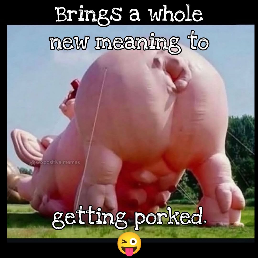 Jrzx1x's tweet photo. 🐷😏
#porked #facedownassup #iykyk #memes https://t.co/TPVno1QxXT