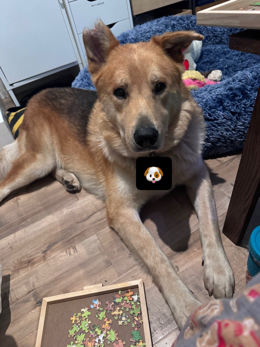 Ovilee tweet media