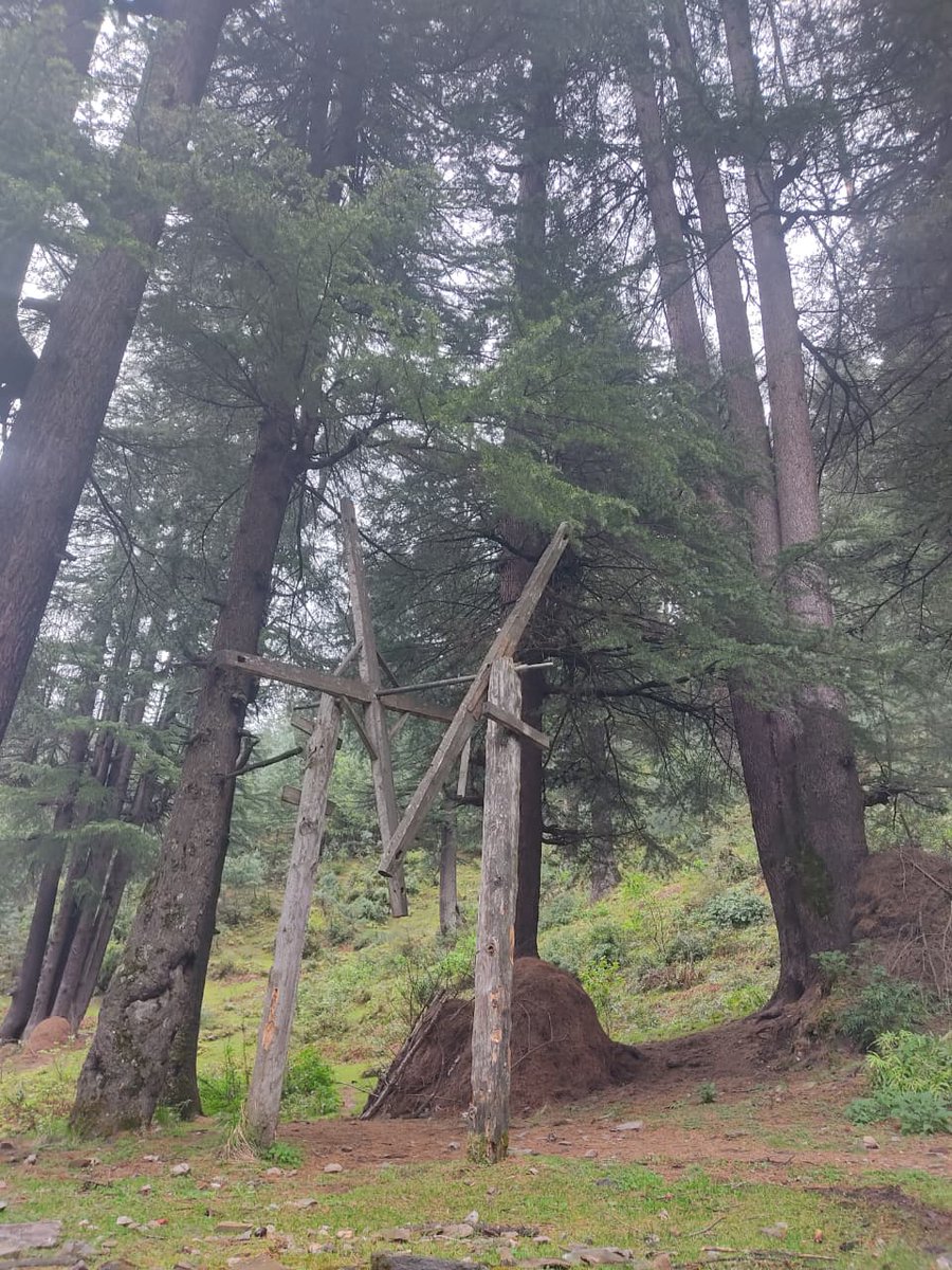 fromPoguli's tweet photo. 📍Mathola 
Most beautiful village of Bhaderwah https://t.co/mjmF49HnDK