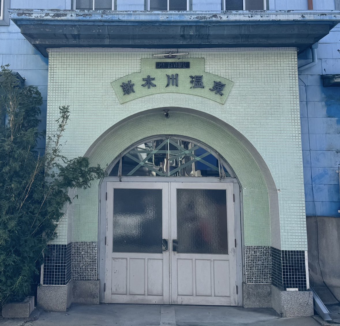 マツバ tweet media