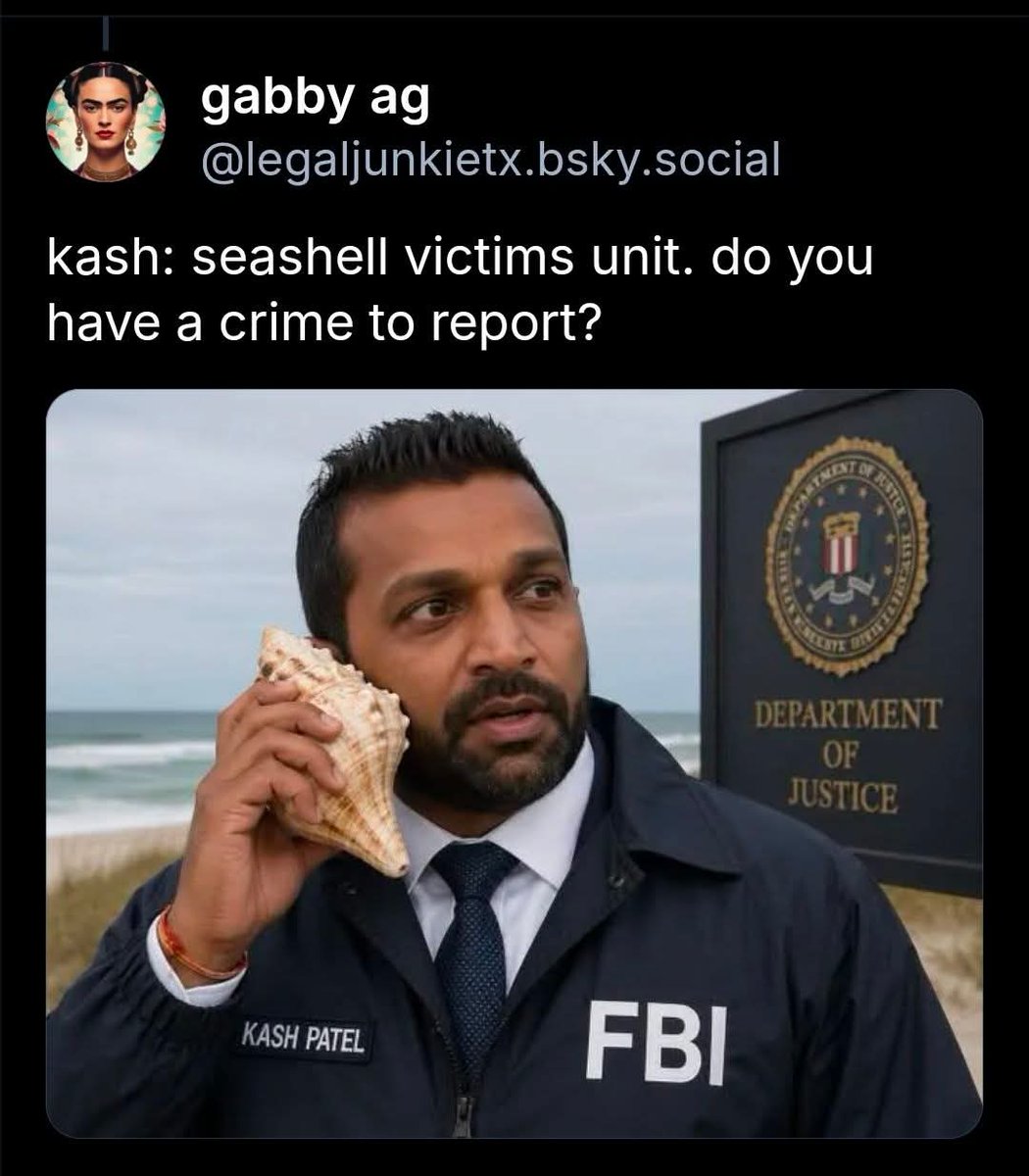 meta 🫟 tweet media