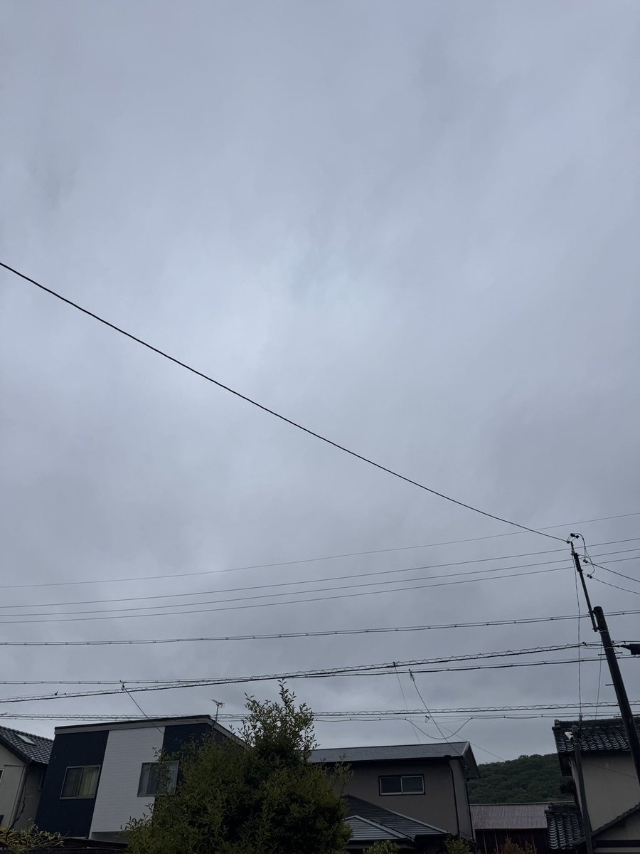 三日目のおでん tweet media